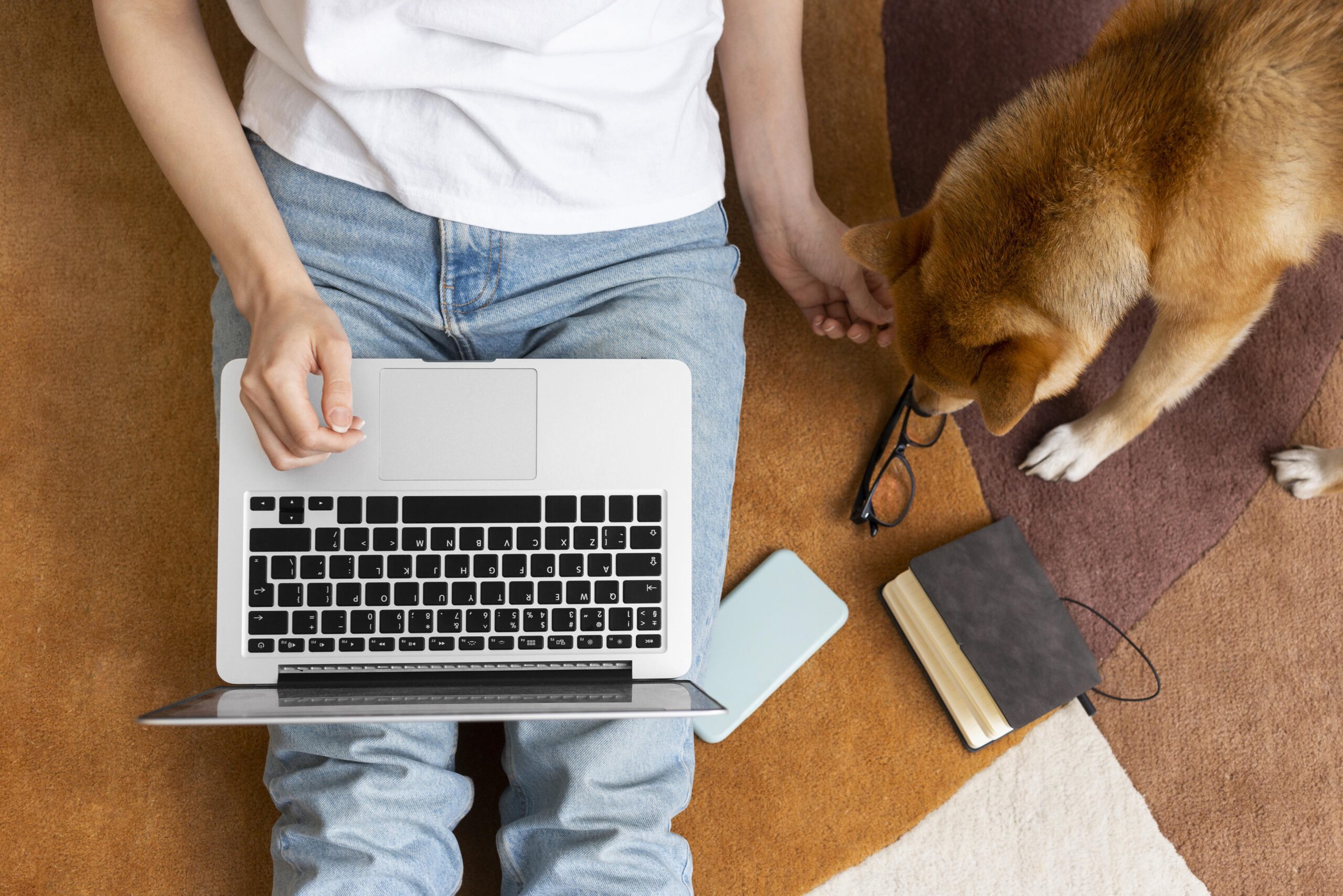 Top Mobile SEO Tools and Local Ranking Strategies for Physiotherapists